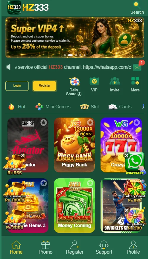 HZ333