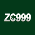 zc999 game